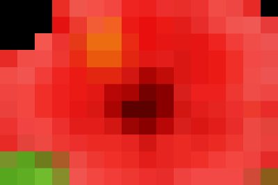 ĐẠI HỘI CHI BỘ TRƯỜNG TH ĐỨC CHÁNH NHIỆM KỲ 2025-2027 ĐẠI HỘI CHI BỘ TRƯỜNG TH ĐỨC CHÁNH NHIỆM KỲ 2025-2027